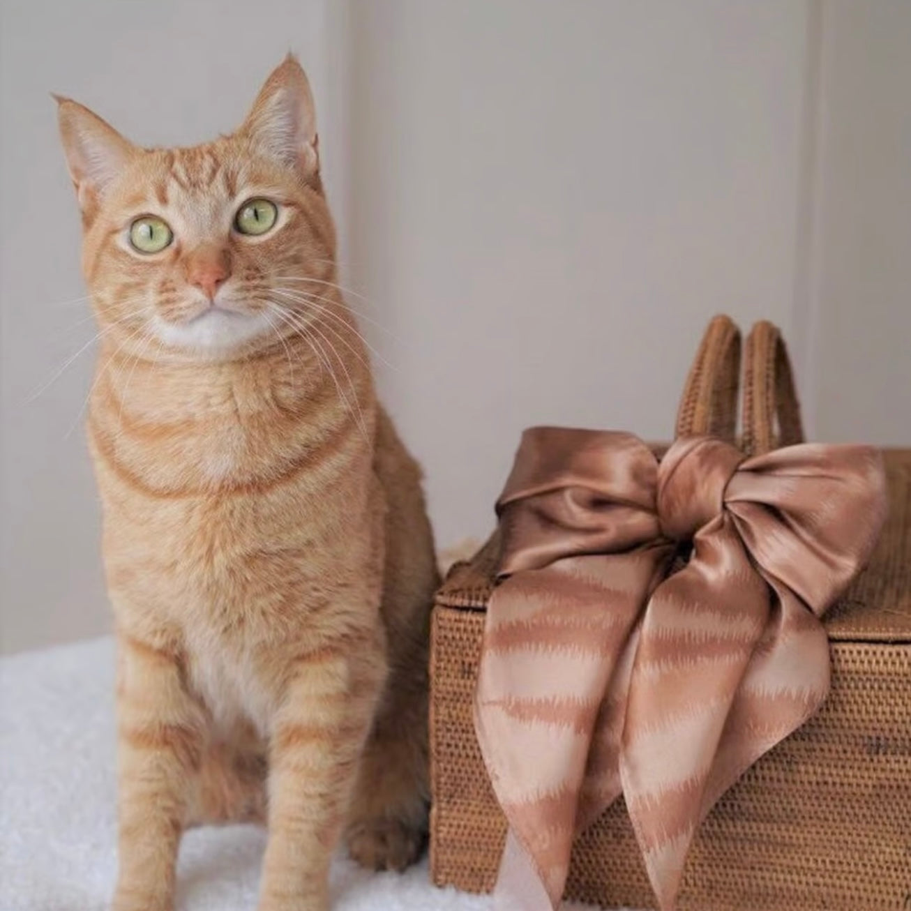 Première produced by NyanCon ねこ柄スカーフ