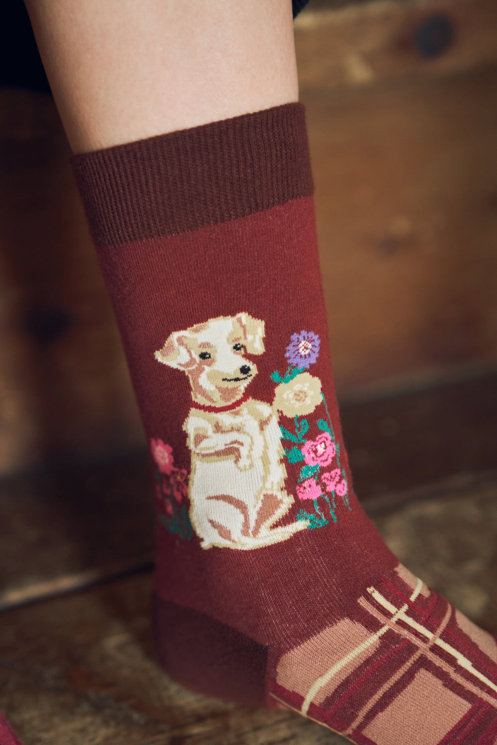 ナタリーレテ ソックス garden dog