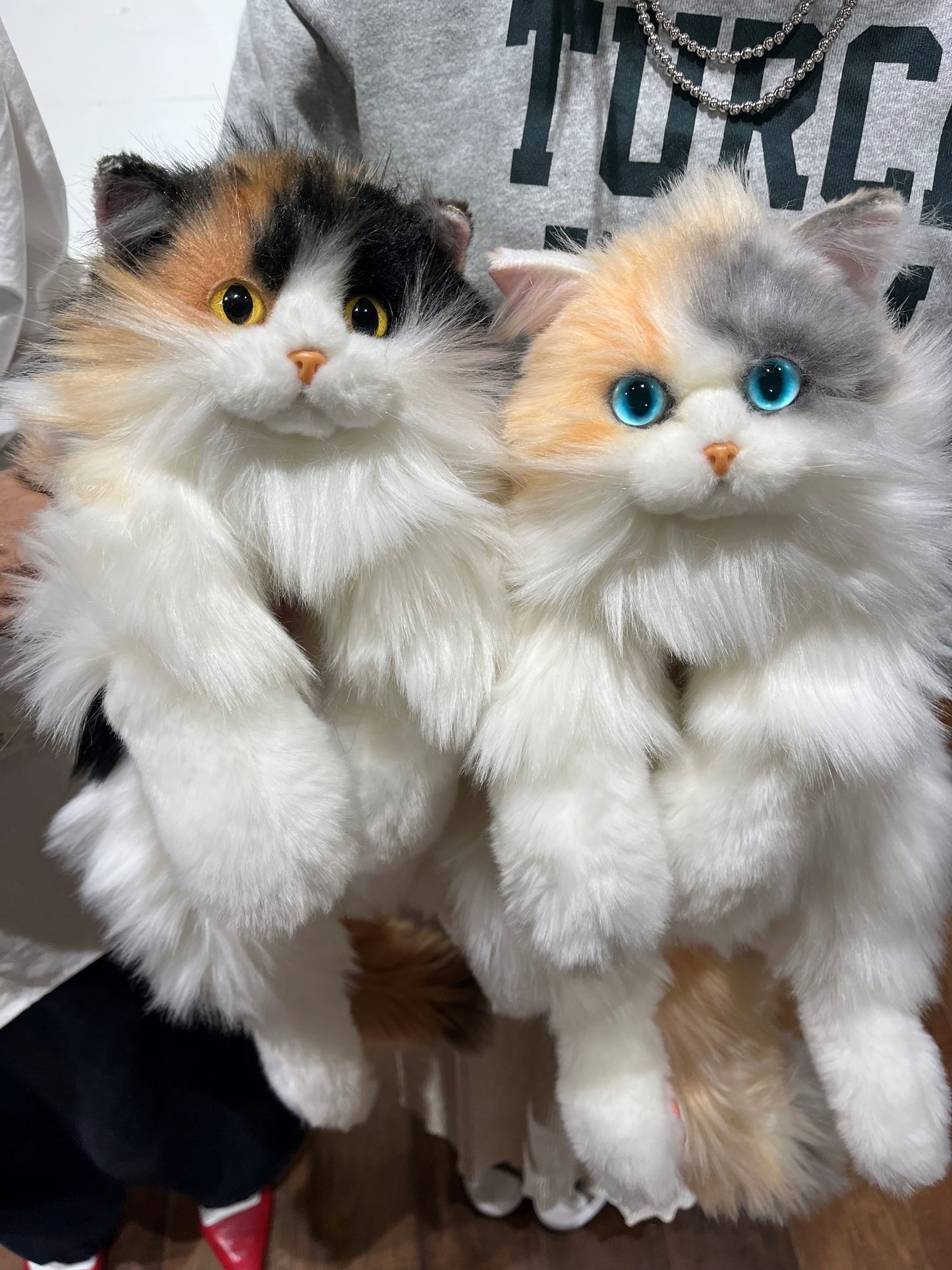 【お振込後の発送品】ぬいぐるみバックパック