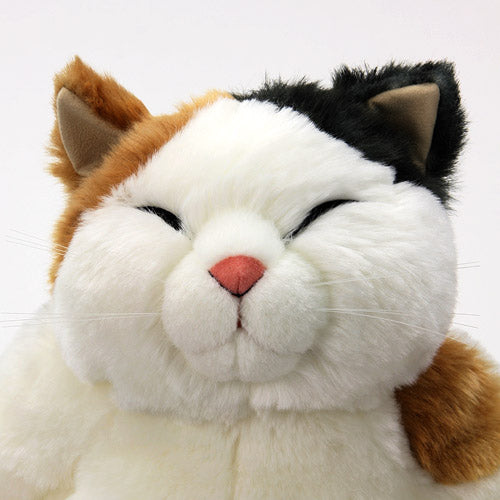 【お振込み後の発送商品】Cuddly(カドリー) マリア