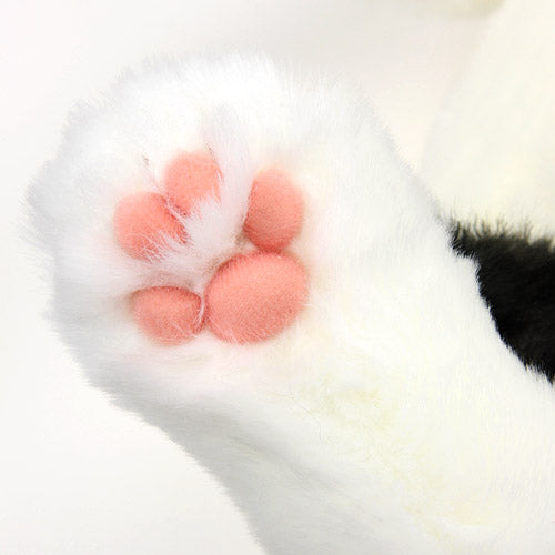 【お振込み後の発送商品】Cuddly(カドリー) マリア