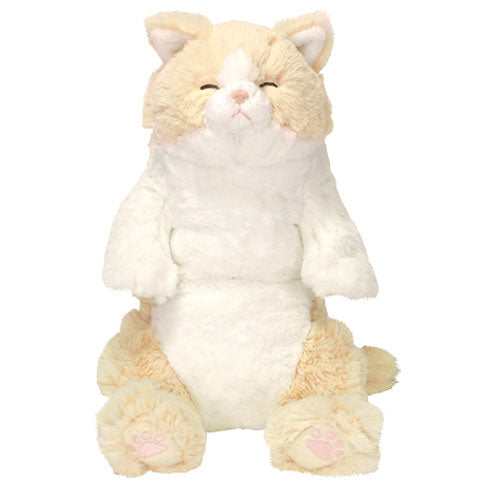 ひざねこ すやすや【全3種】