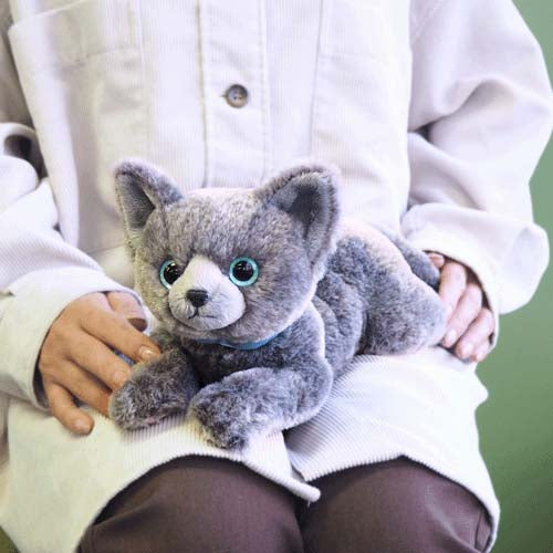 ひざねこS ロシアンブルー