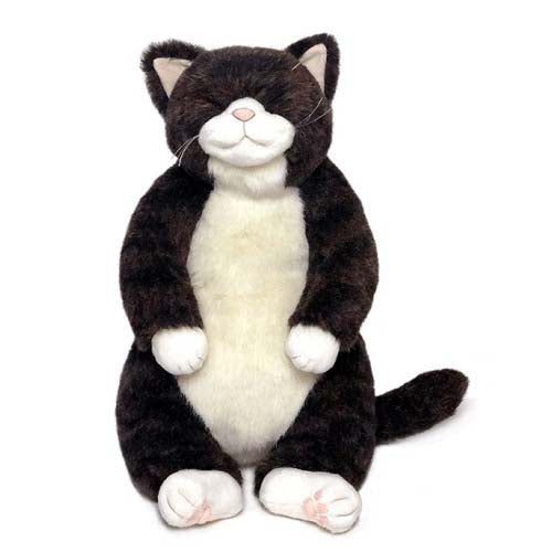 【お振込み後の発送商品】Cuddly(カドリー) 眠り金之助/キジトラ