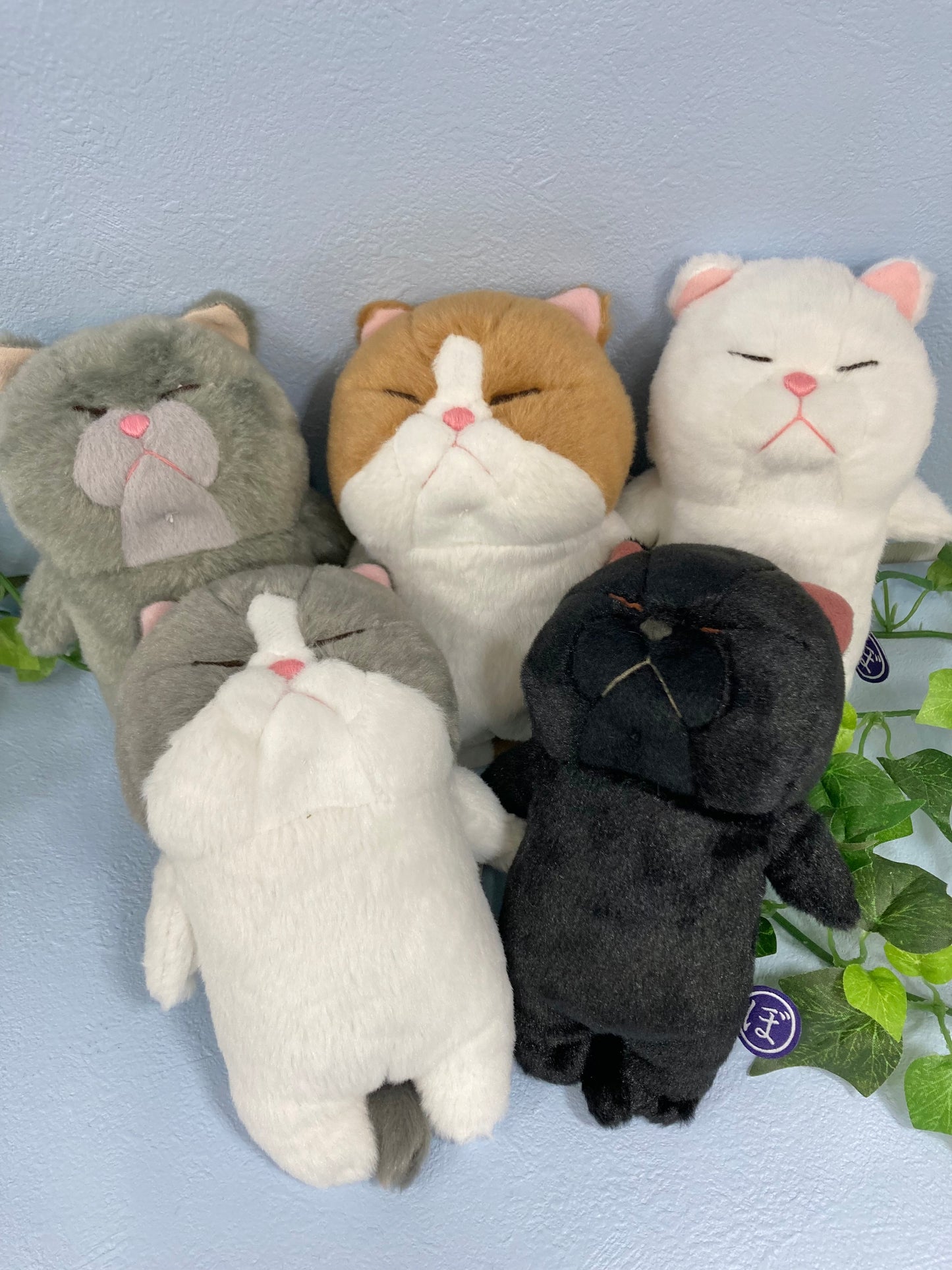 ぼうみたいなねこ【全5種】