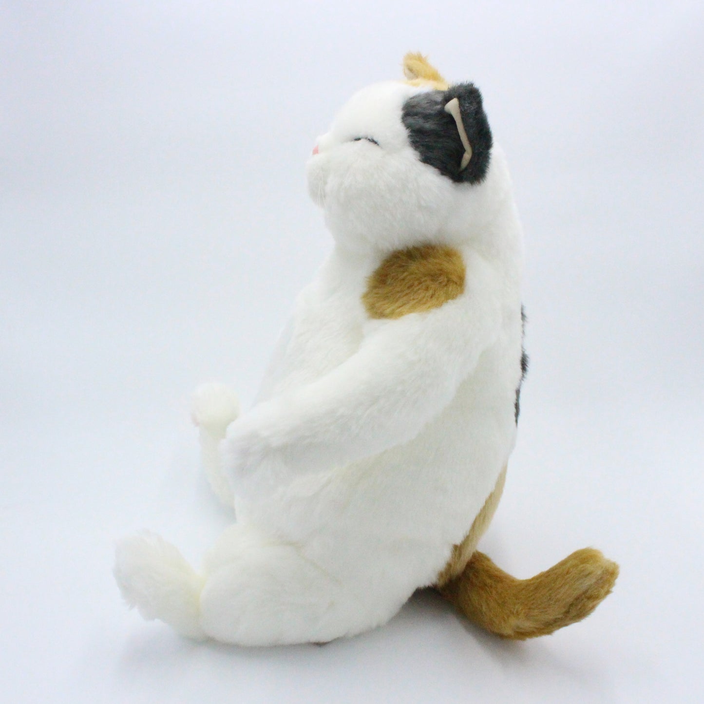 【お振込み後の発送商品】Cuddly(カドリー) マリア