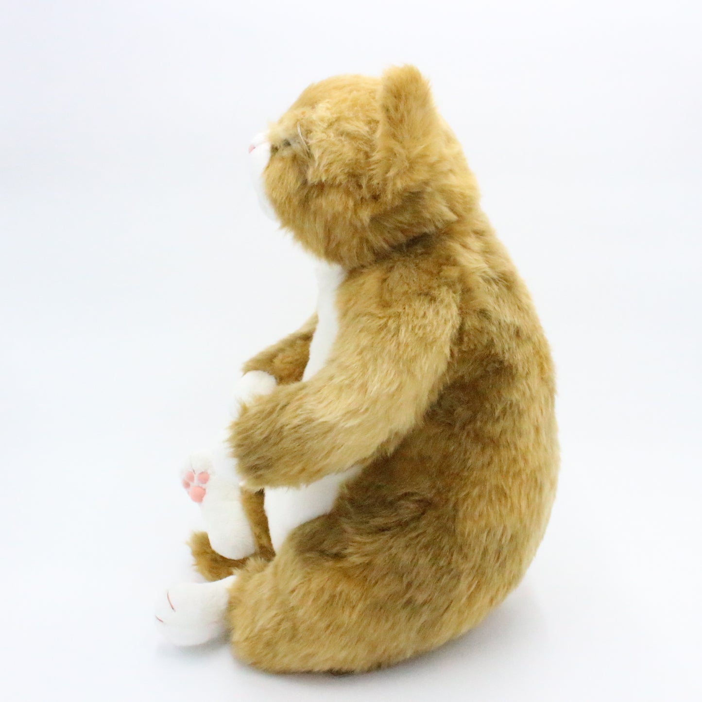 【お振込み後の発送商品】Cuddly(カドリー) わさ美