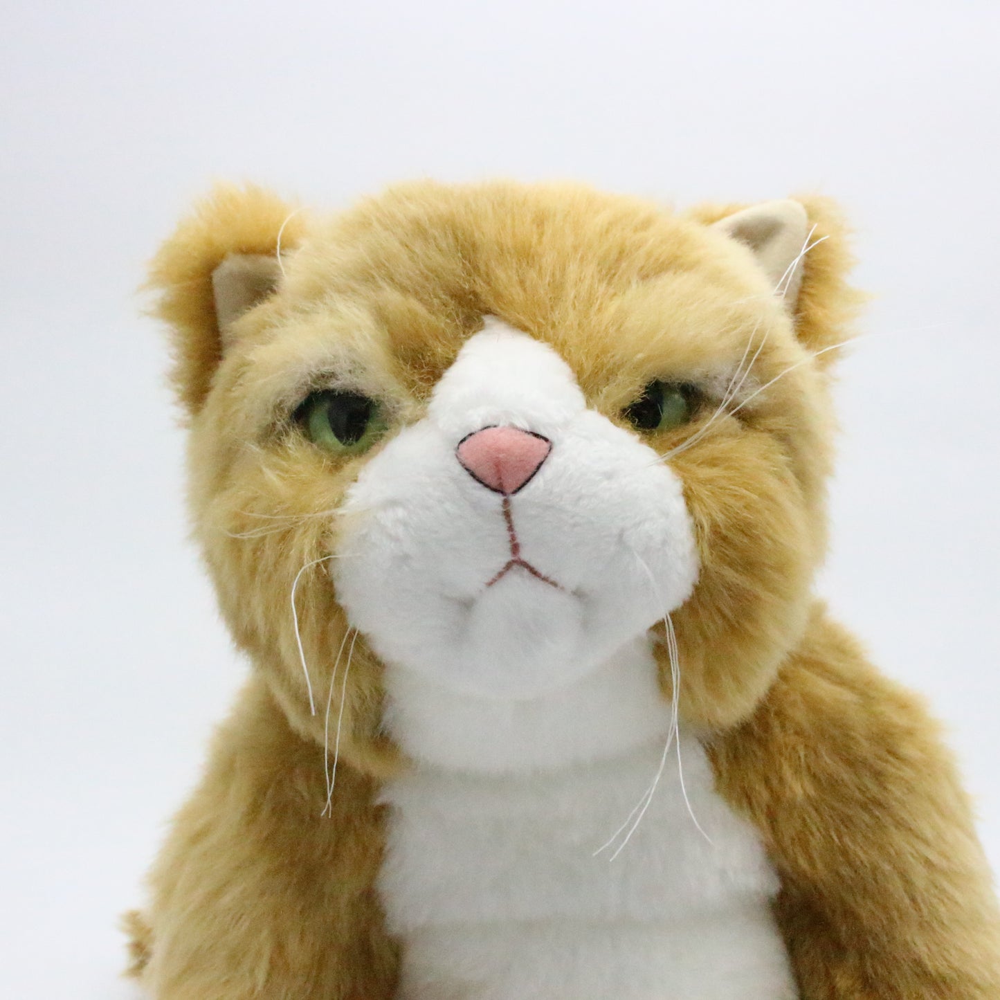 【お振込み後の発送商品】Cuddly(カドリー) わさ美