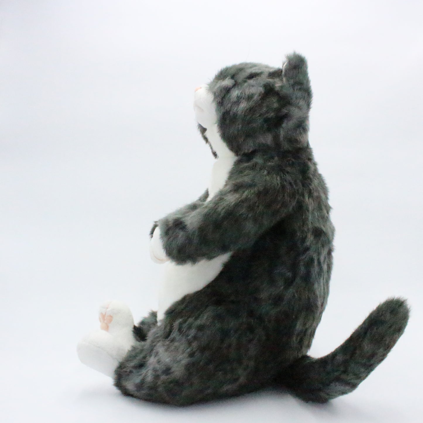 【お振込み後の発送商品】Cuddly(カドリー) ソメゴロー