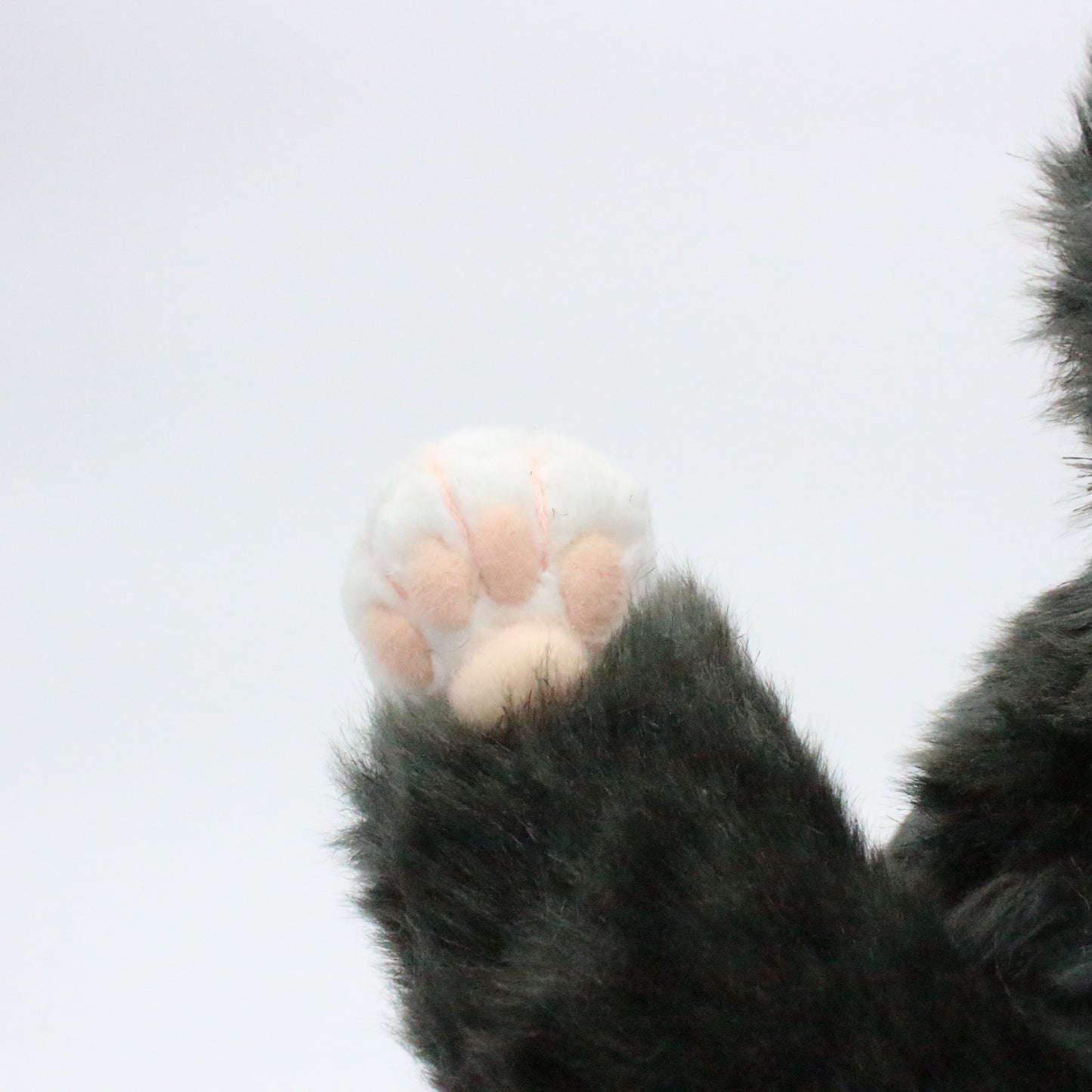 【お振込み後の発送商品】Cuddly(カドリー) ソメゴロー