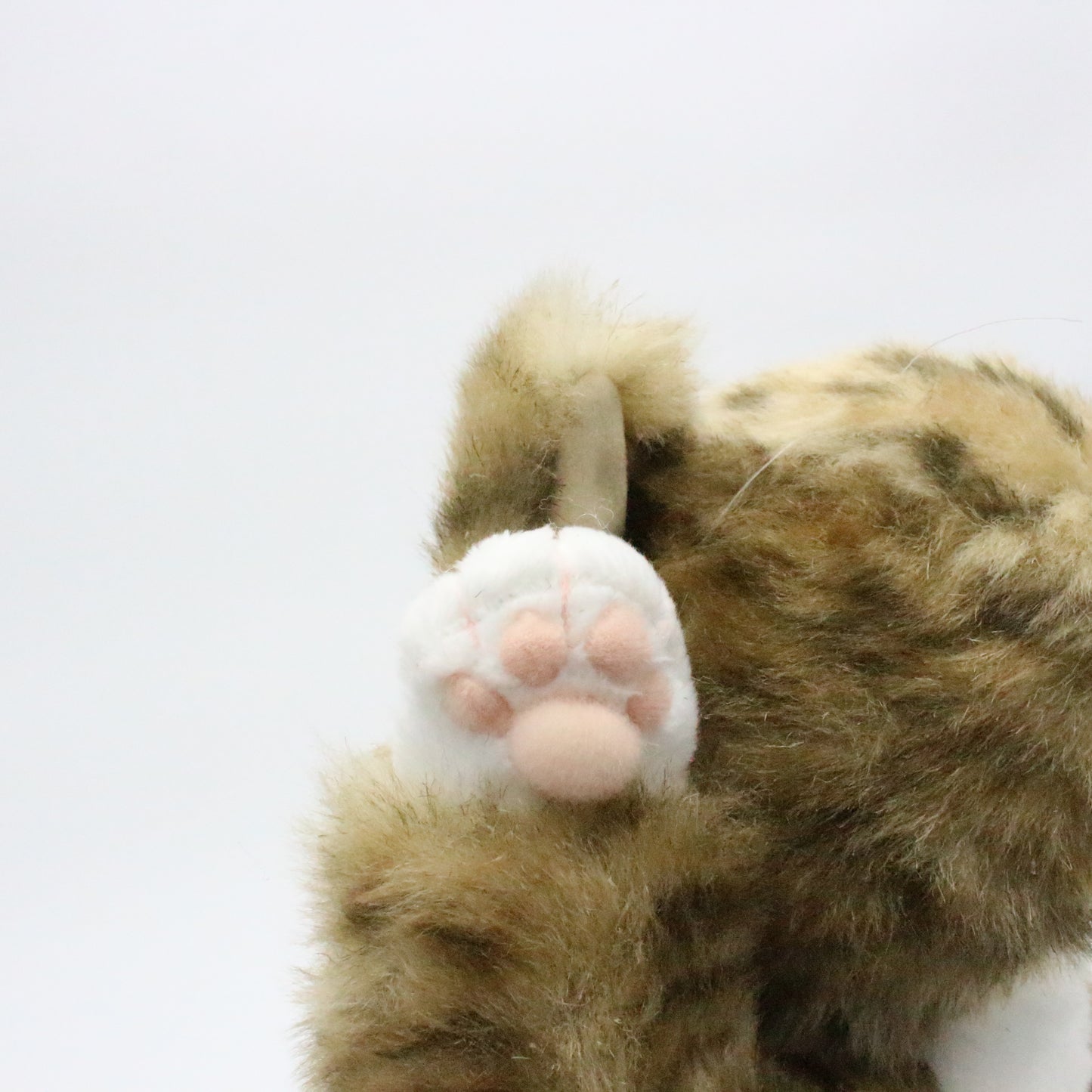 【お振込み後の発送商品】Cuddly(カドリー) ピンカートン
