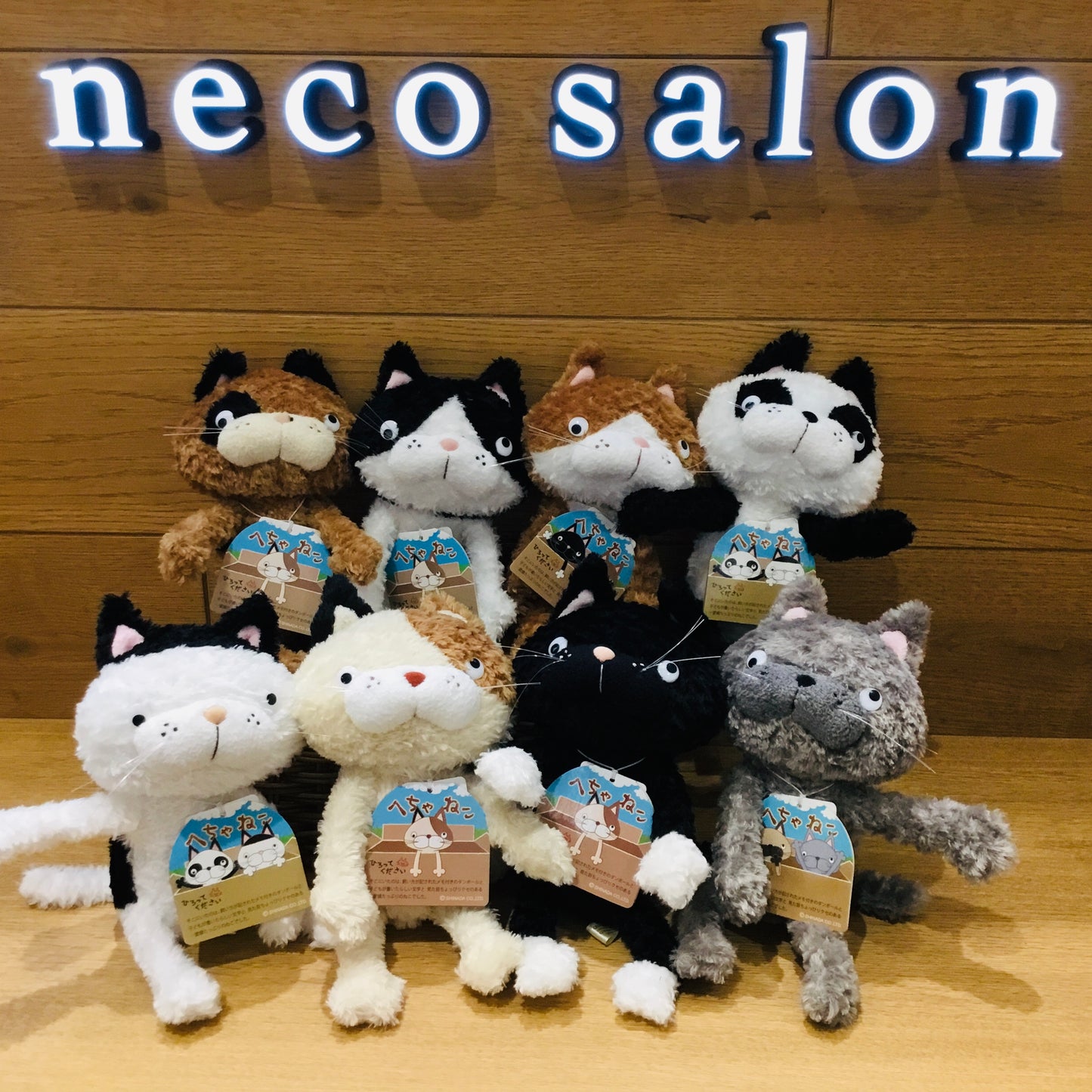 サロ子の友達!へちゃねこシリーズ【全8種】