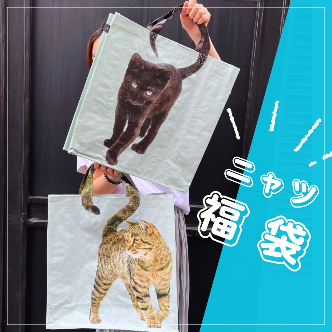 ニャツ福袋