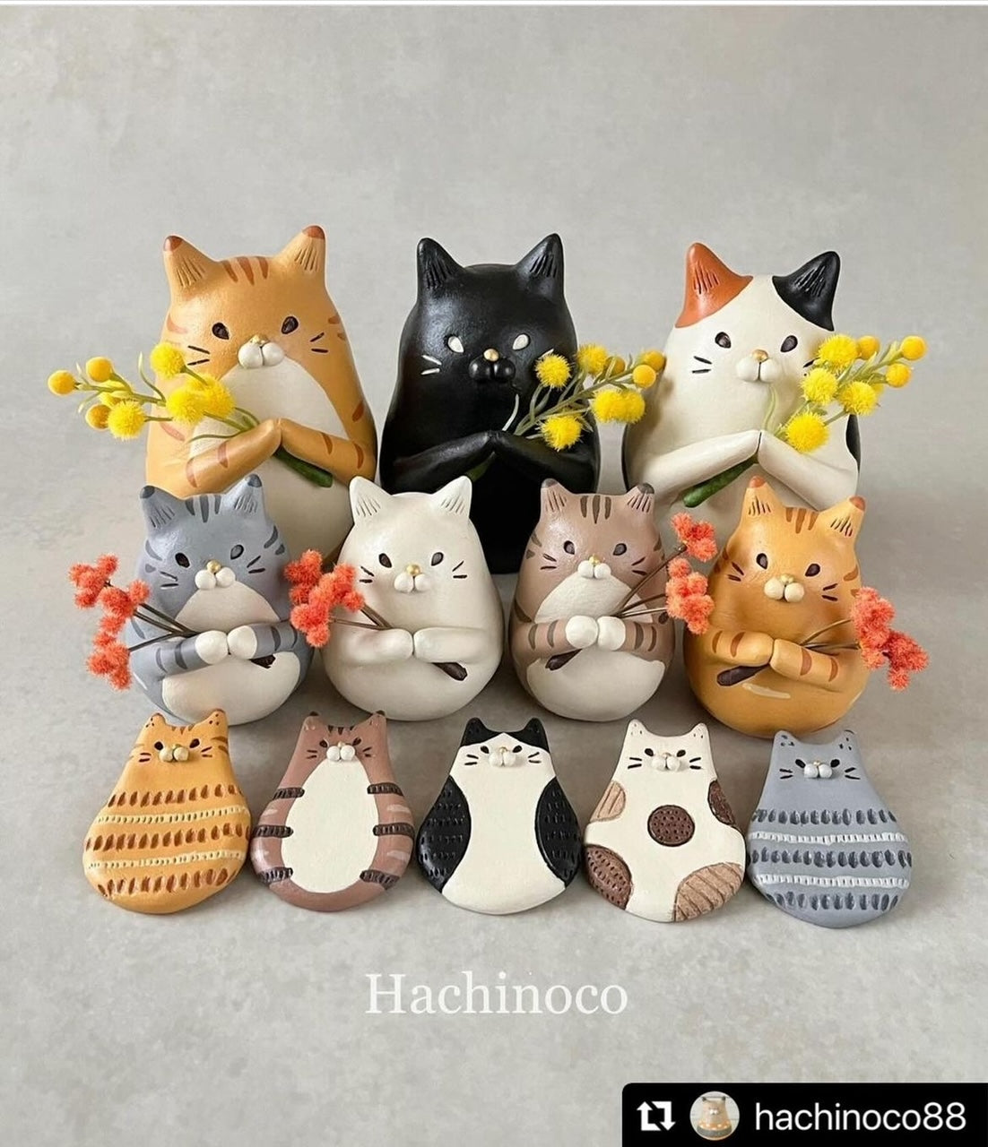 Hachinoco