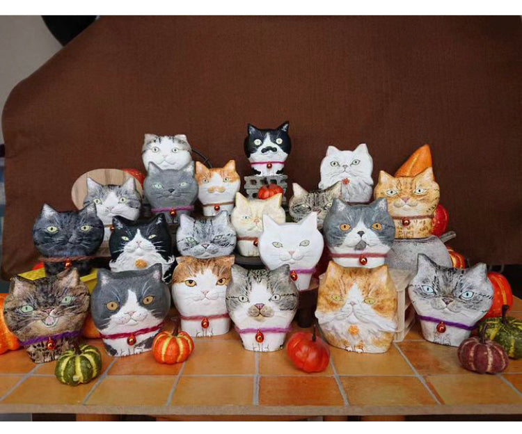 studio-meow