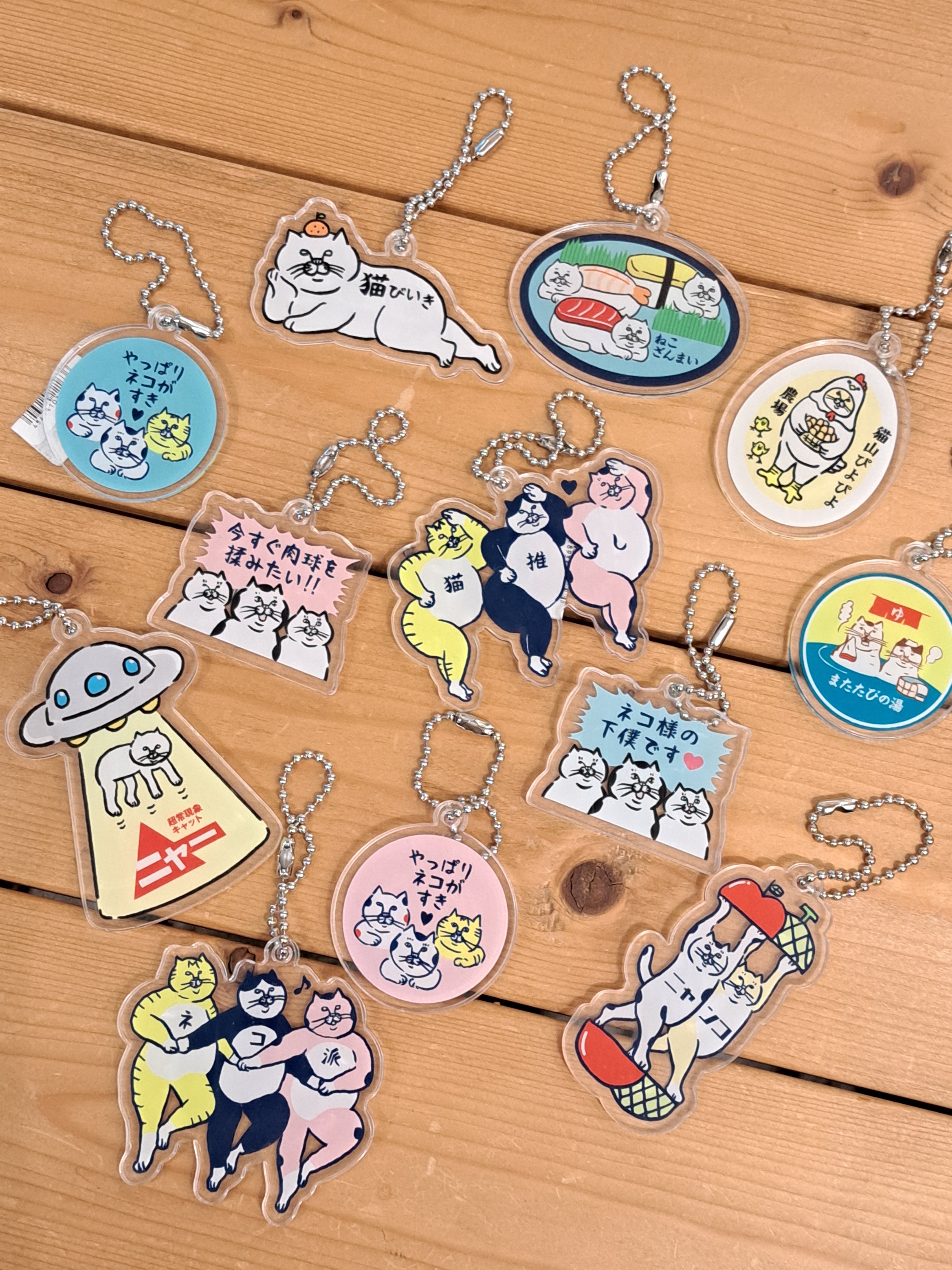 うみねこ社 アクリルキーホルダー – 鎌倉ねこサロン オンラインストア