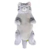 ひざねこすやすや【全7種】