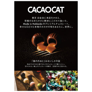 CACAOCAT 缶 ミックス　14個入り