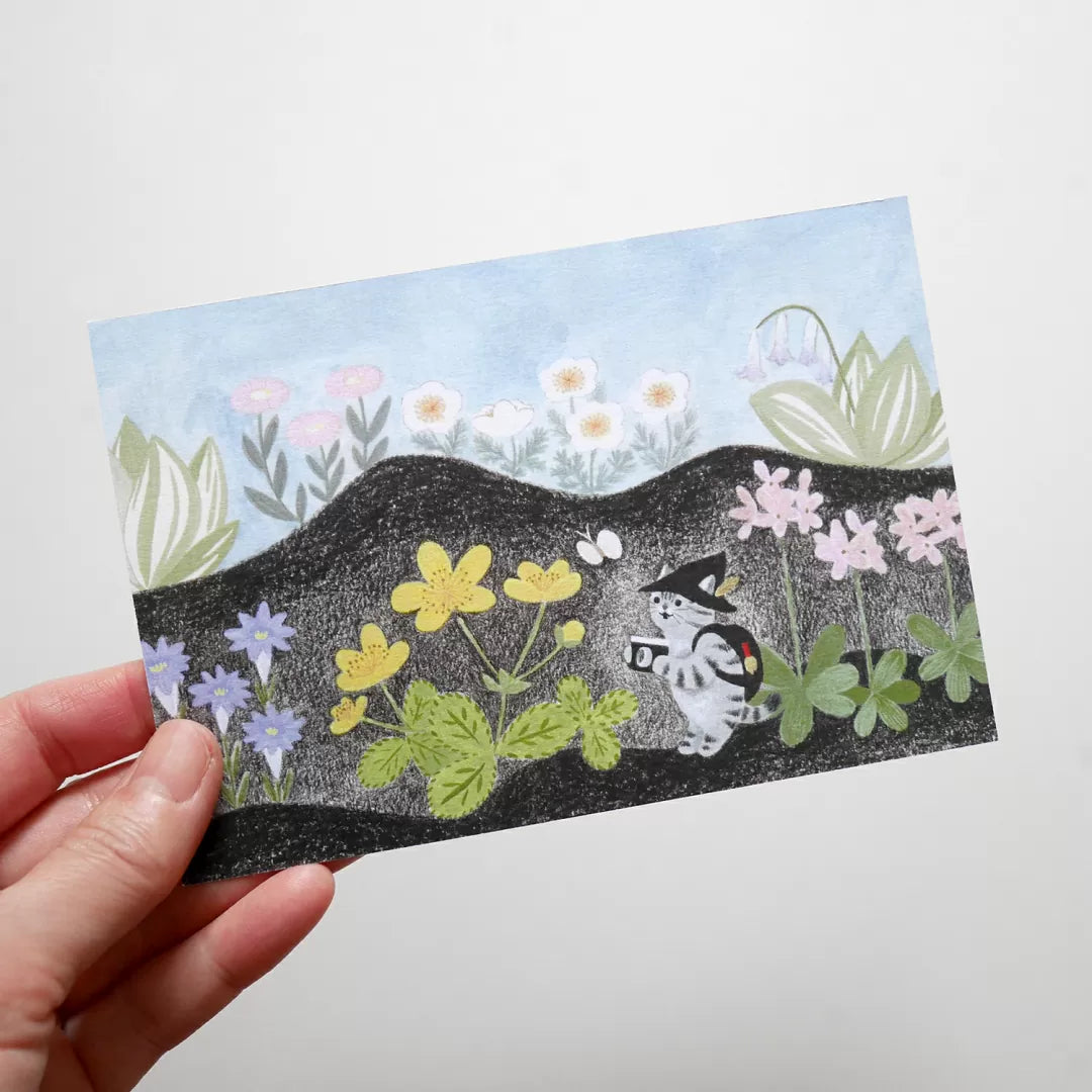 絵本の中のねこポストカード【全11種】