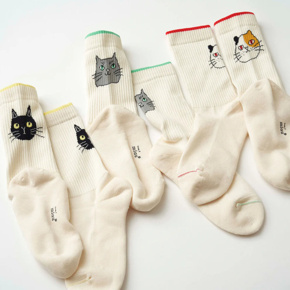 fromF miau わたしとぼく