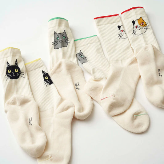 fromF miau わたしとぼく