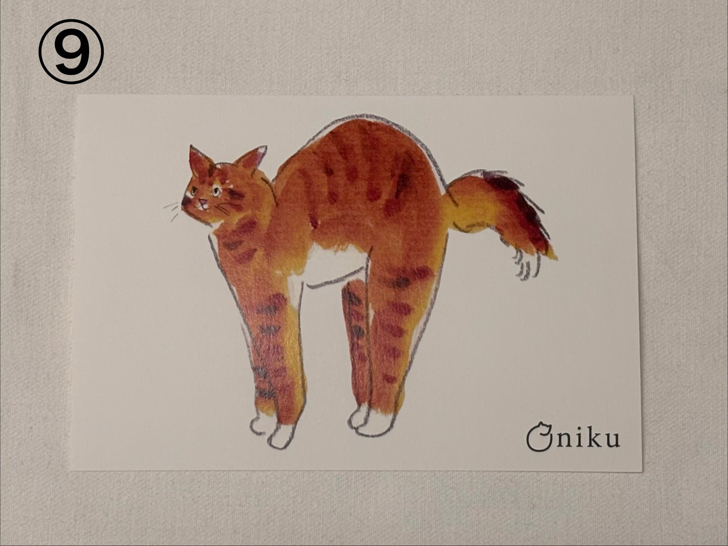 ★oniku ★ ポストカード【全16種】