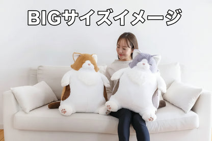 【新種登場！】ねこ肯定感抱き枕 ノルウェージャンのアンチョビ