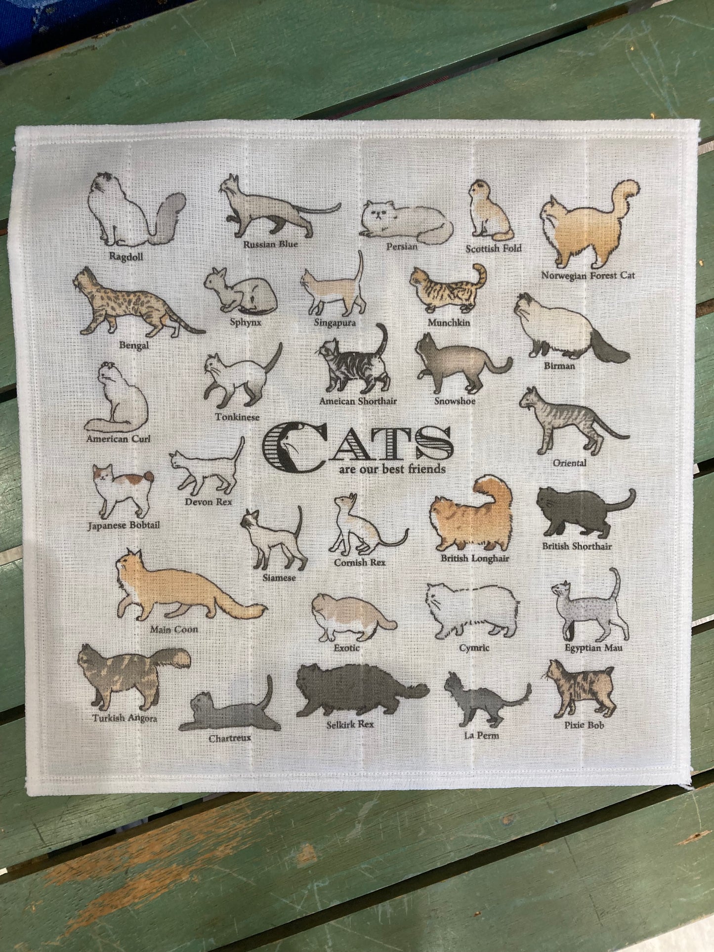 かやふきん 猫図鑑
