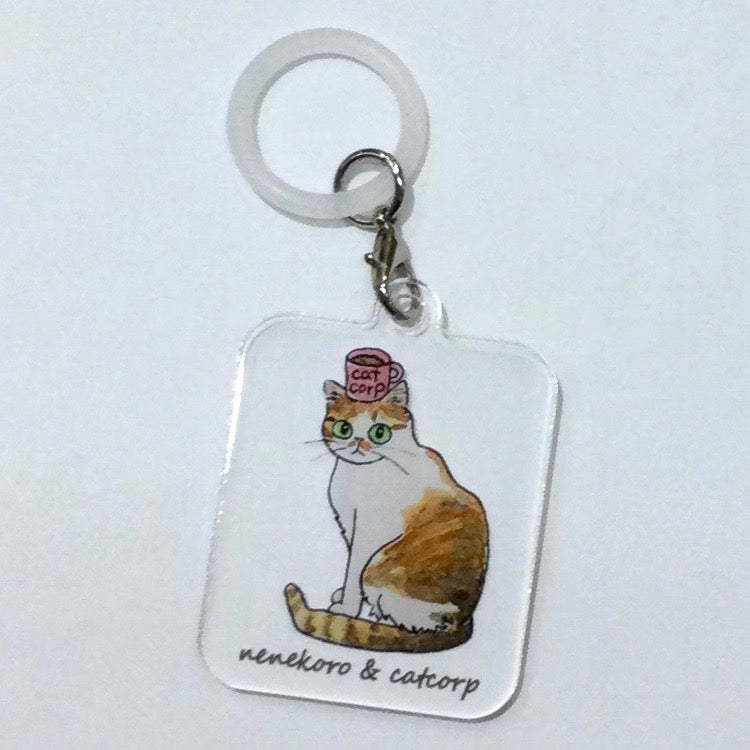 catcorp  アンブレラマーカー  国分寺店