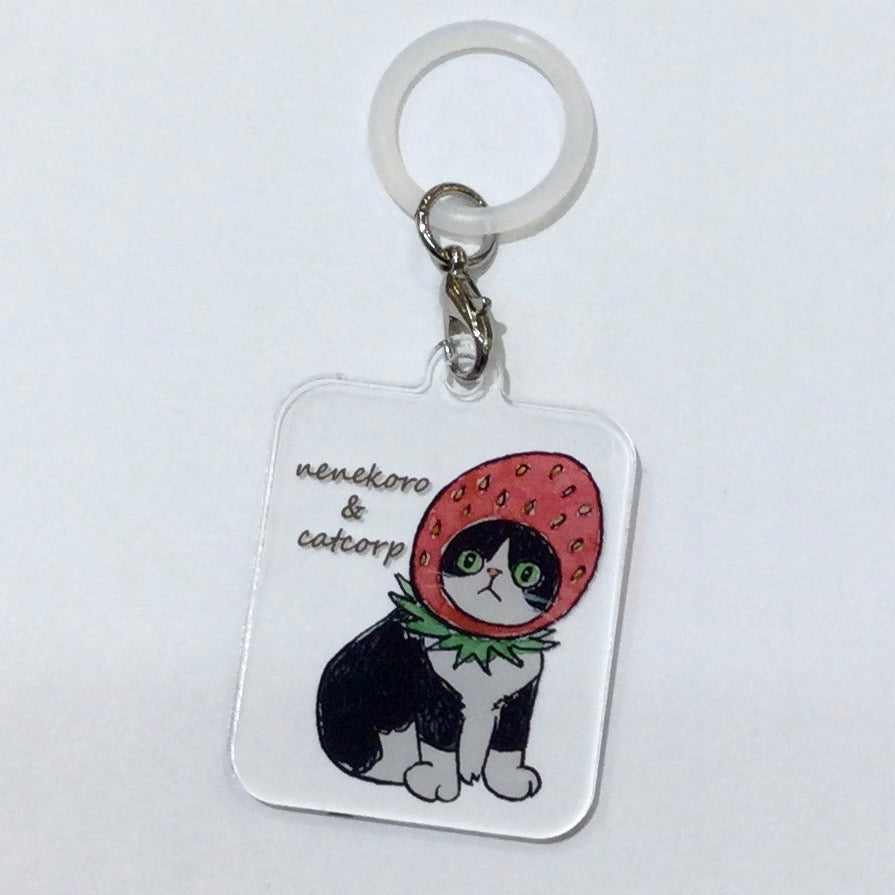 catcorp  アンブレラマーカー  国分寺店