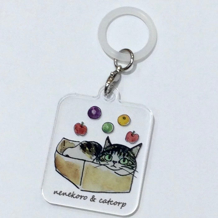 catcorp  アンブレラマーカー  国分寺店