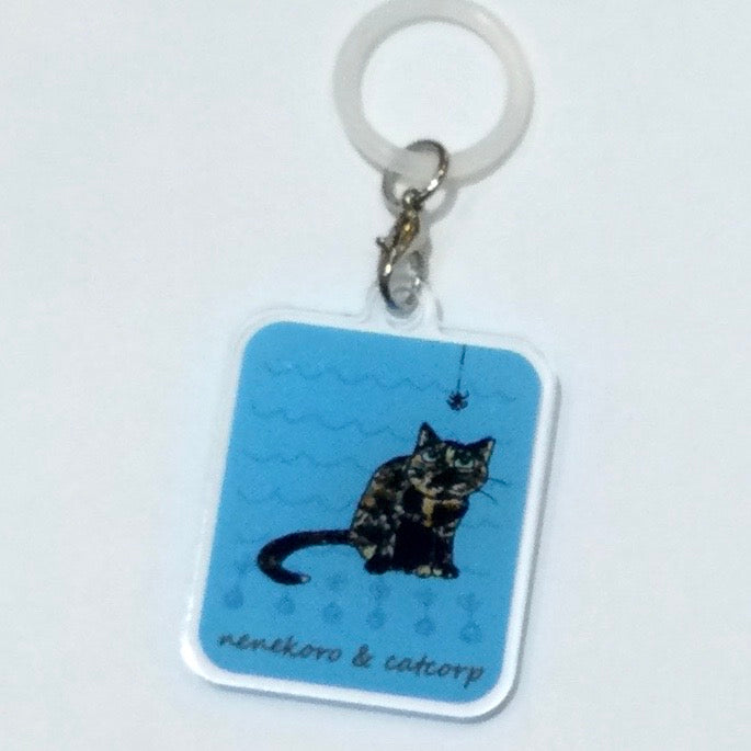 catcorp  アンブレラマーカー  国分寺店