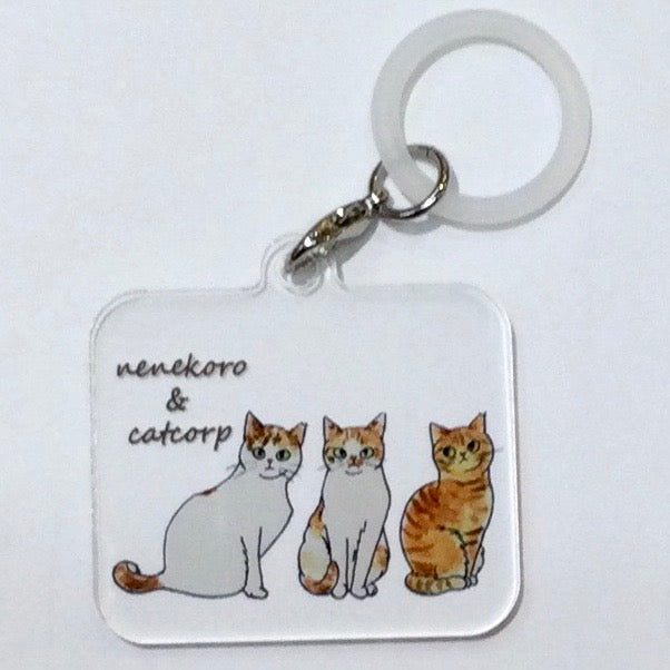 catcorp  アンブレラマーカー  国分寺店