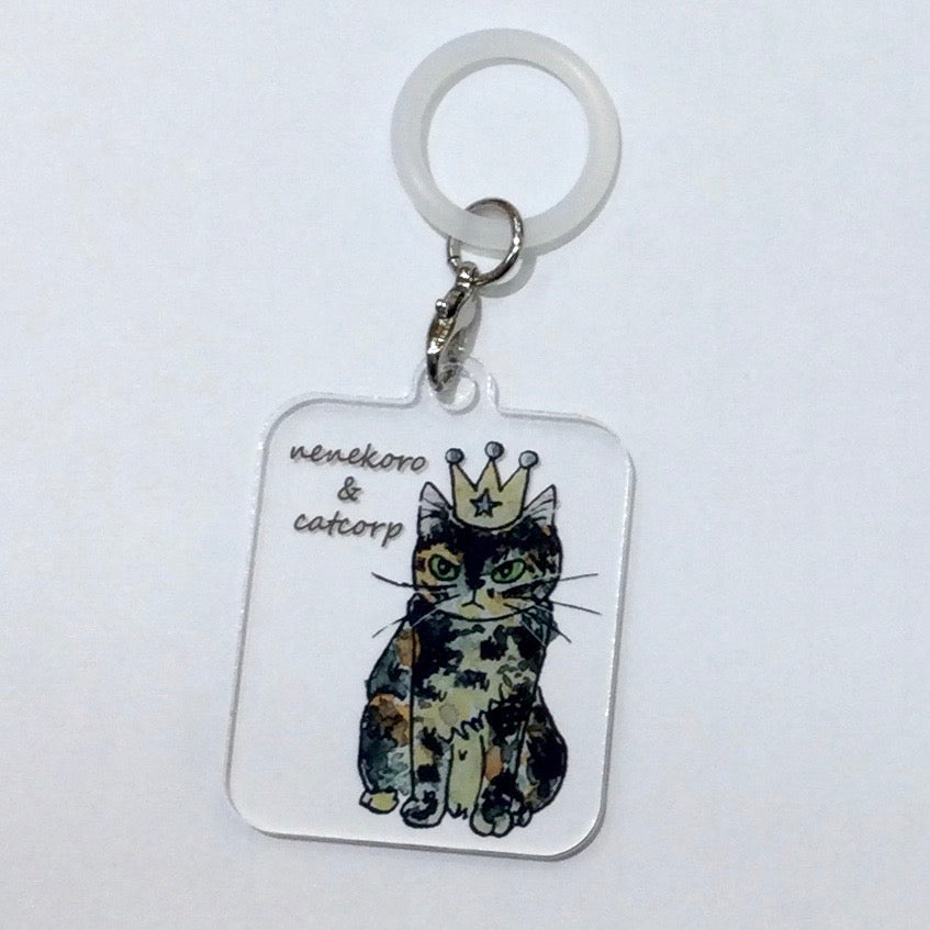 catcorp  アンブレラマーカー  国分寺店