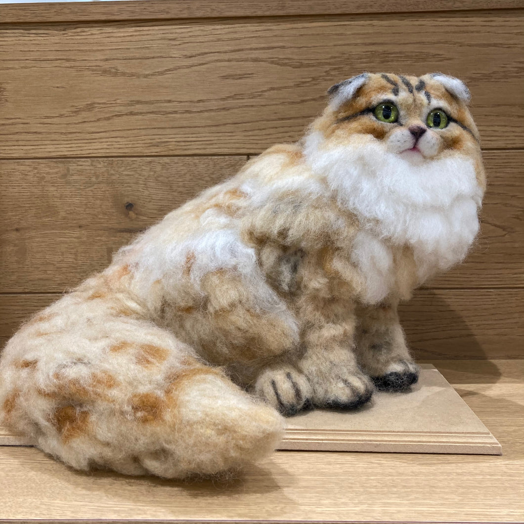 「佐藤法雪」作品　長毛茶系ねこ
