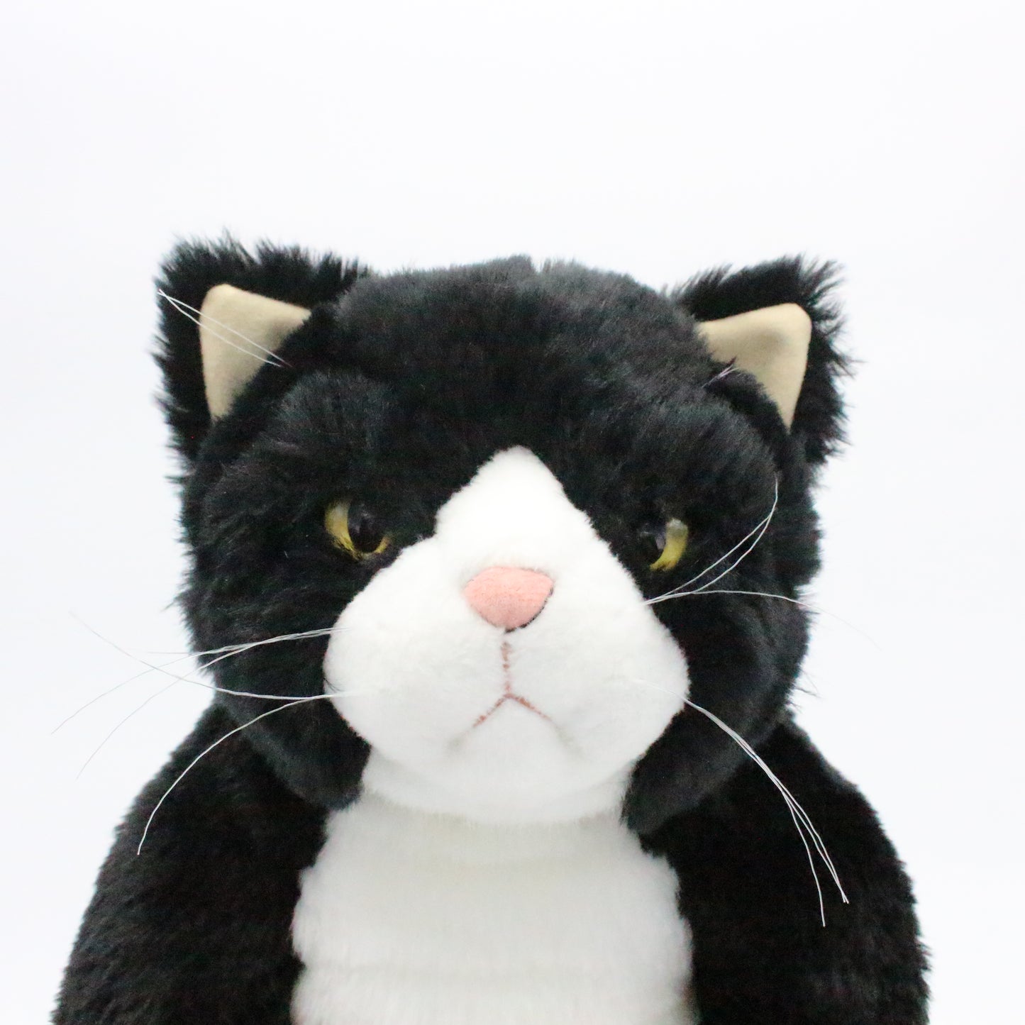 【お振込み後の発送商品】Cuddly(カドリー) 甚五郎