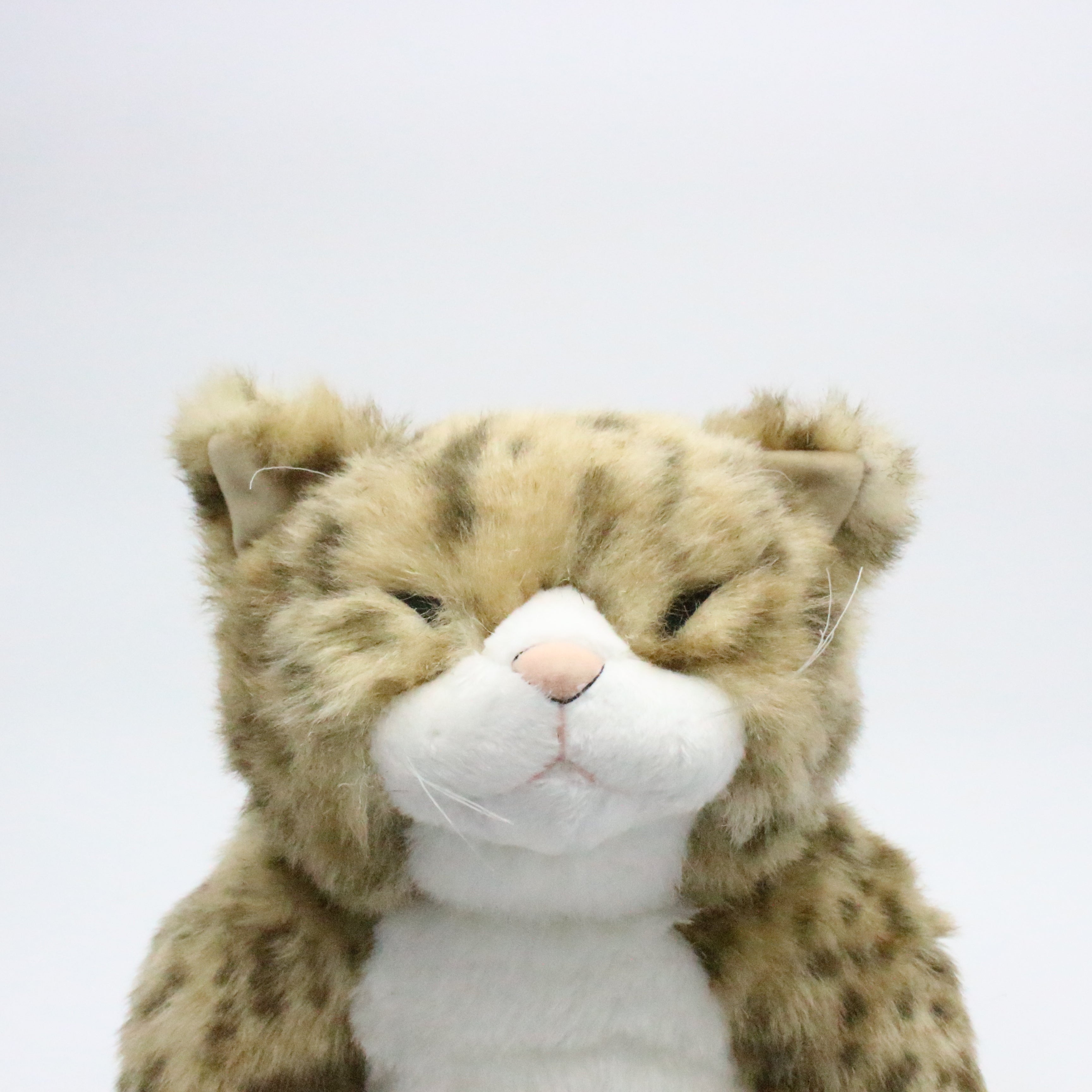 【お振込み後の発送商品】Cuddly(カドリー) ピンカートン – 鎌倉ねこサロン オンラインストア