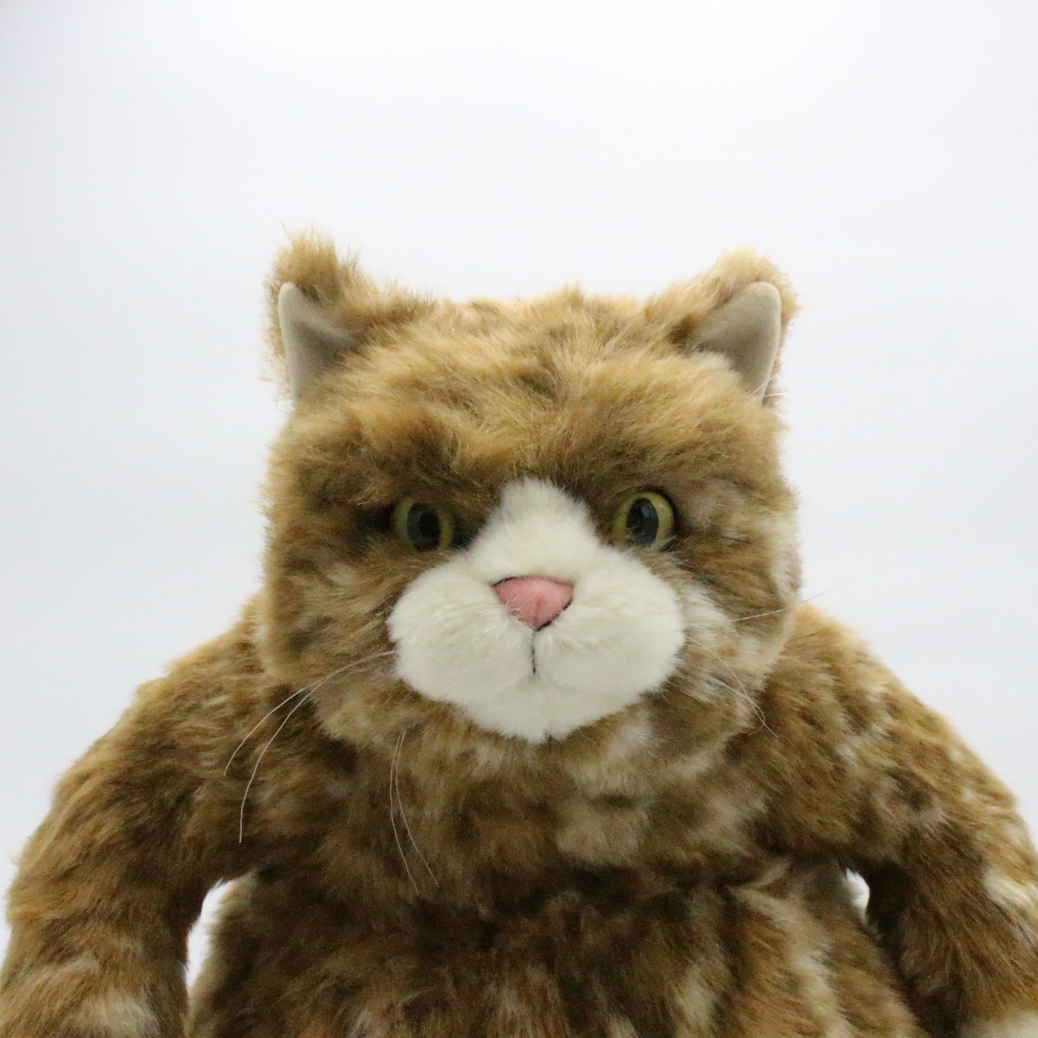 お振込み後の発送商品】Cuddly(カドリー) ムッシュ – 鎌倉ねこサロン オンラインストア